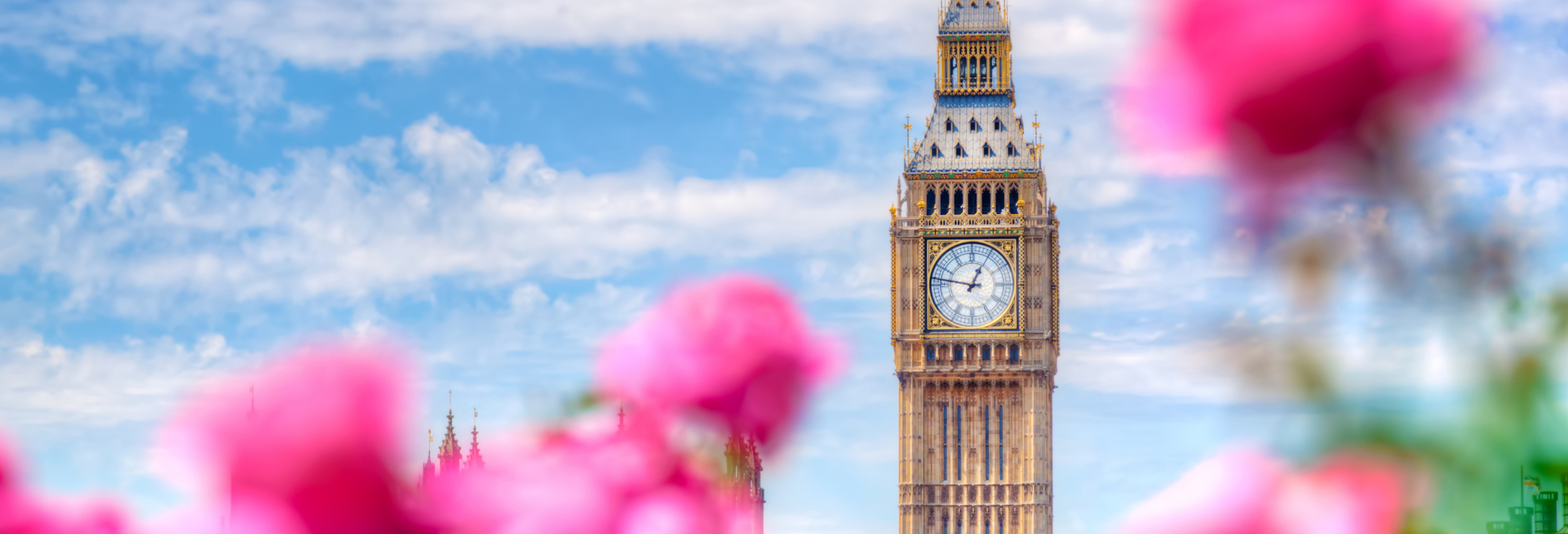 London Big Ben with spring flowers