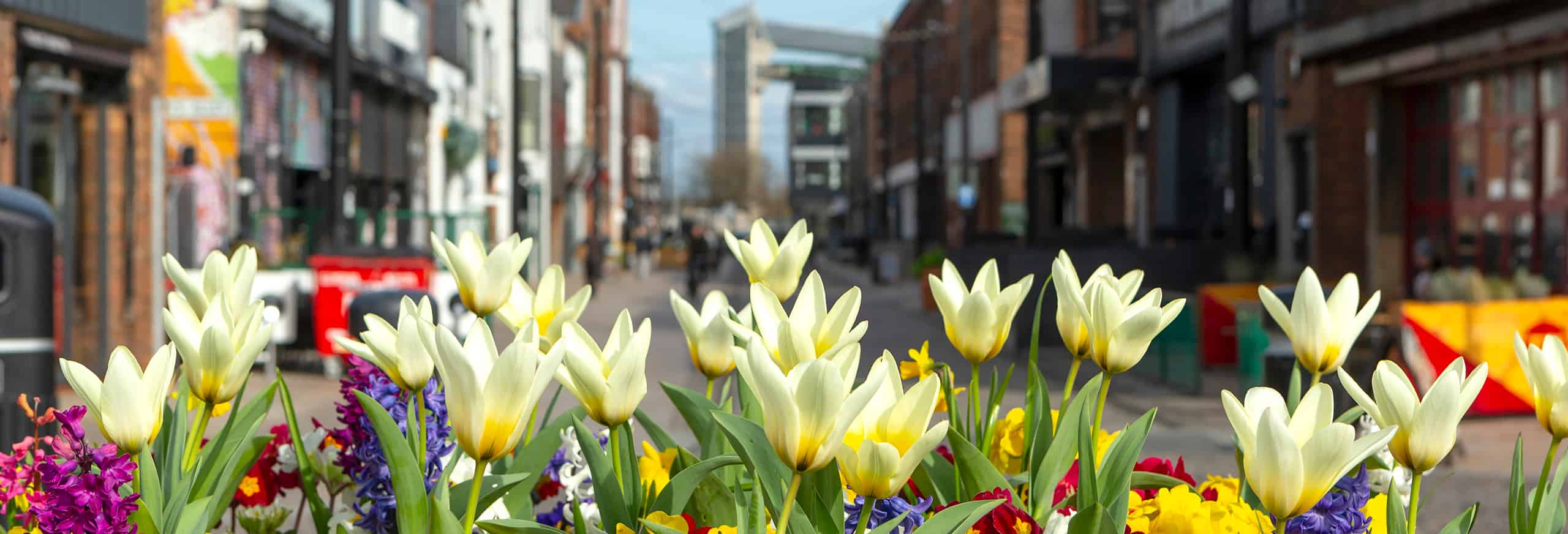 Flowers in the foreground with Humber Street Hull in the background