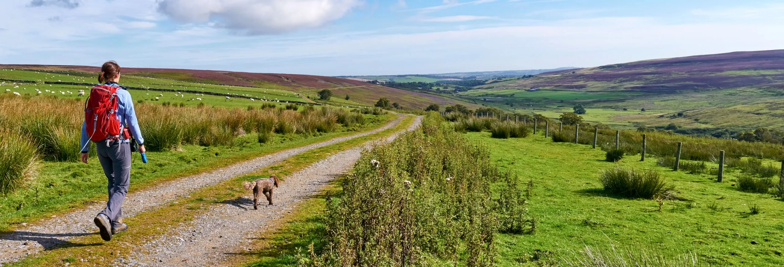 Days out with Hull Trains activities