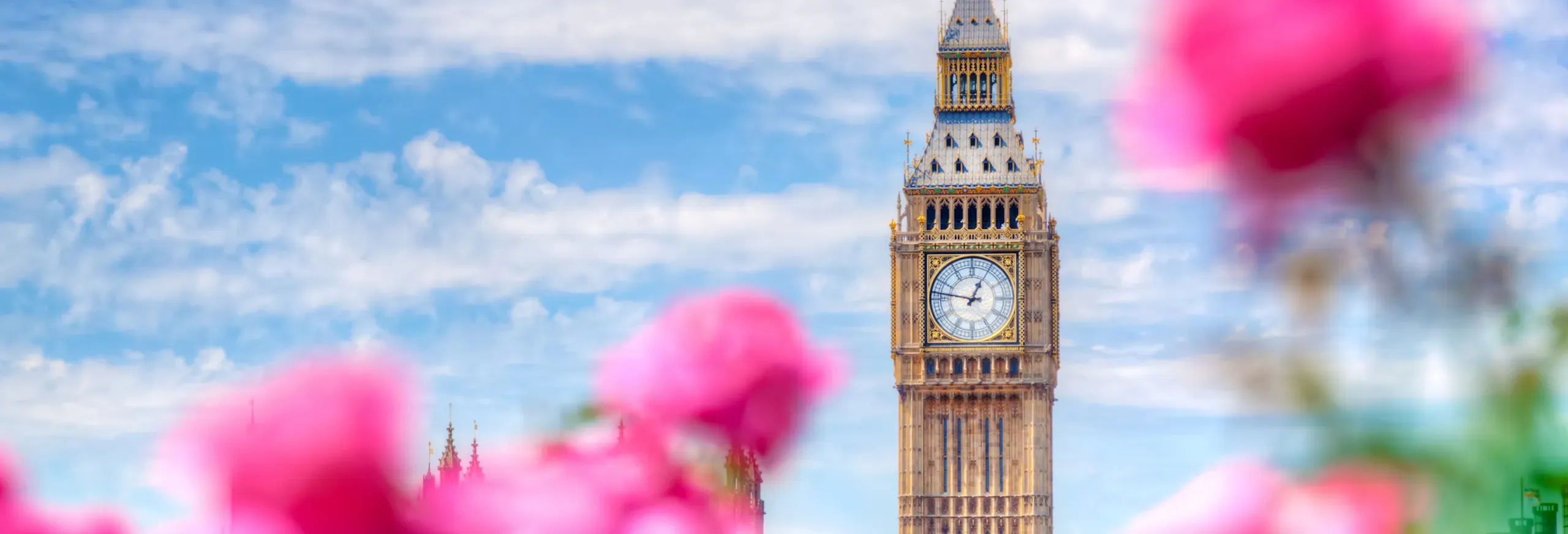 London big ben in the spring time