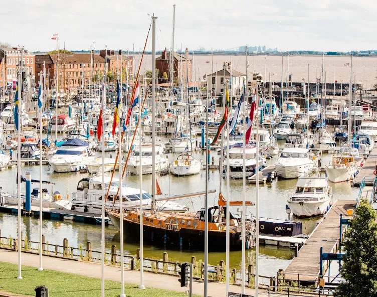 Boats in a marina