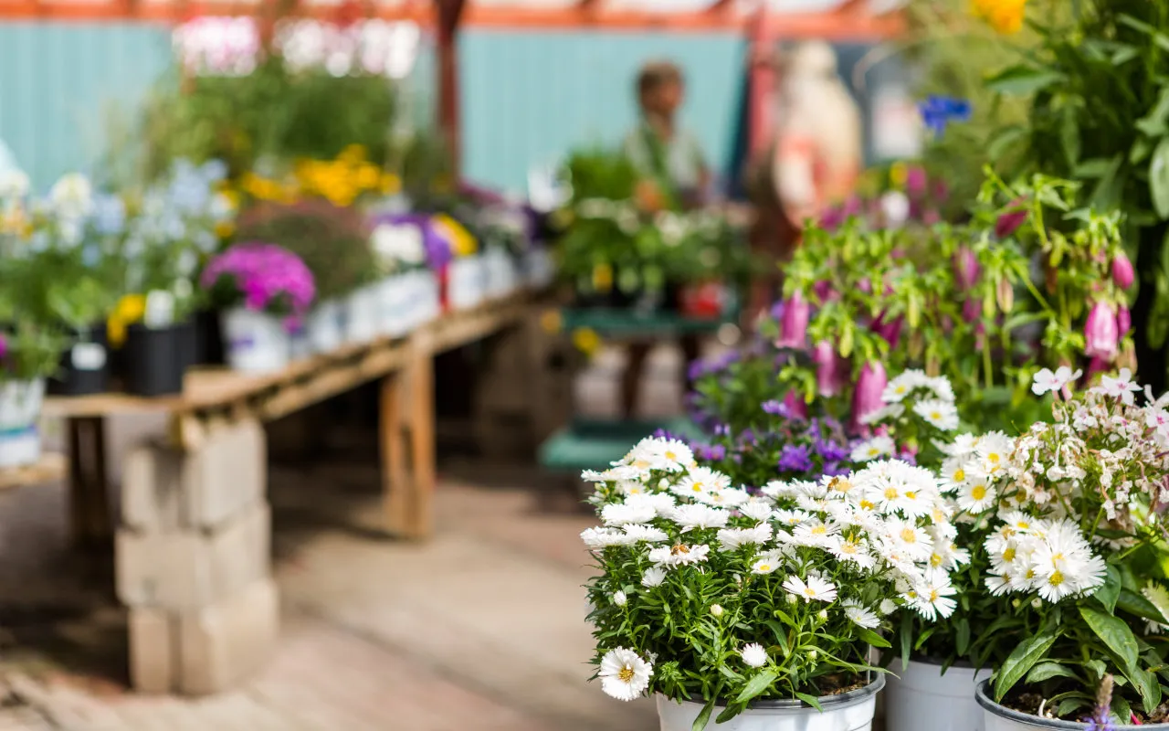 garden centre