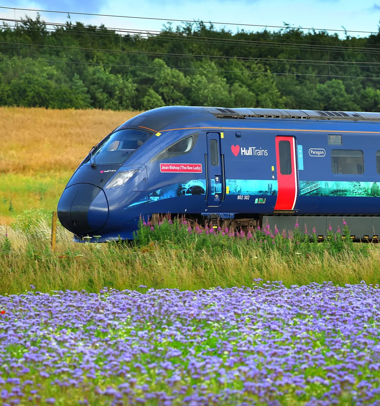 Hull Trains service passing a field of purple flowers