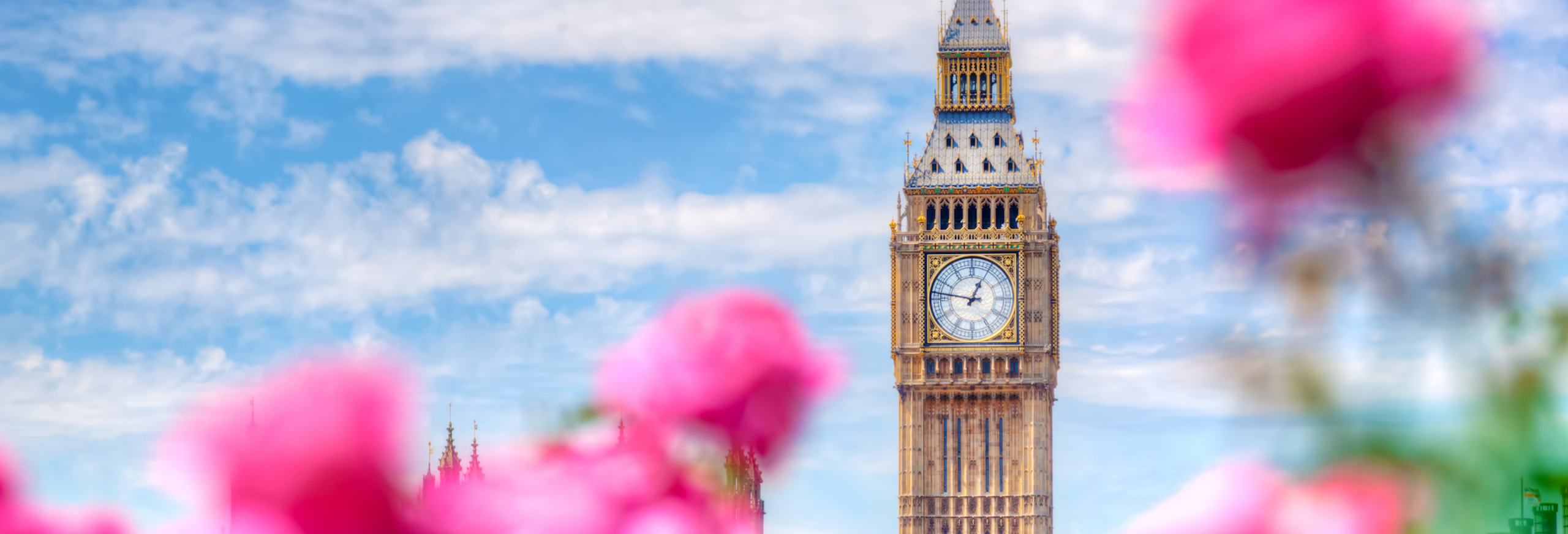 London big ben in the spring time