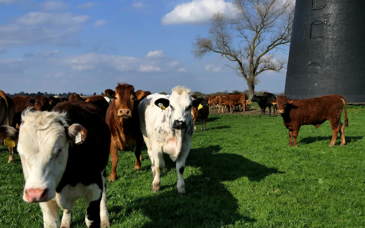 Trains To Beverley Booking Train Tickets Online Hull Trains